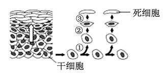图片_x0020_100001