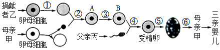 图片_x0020_823177963