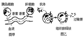 图片_x0020_100007
