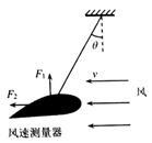 图片_x0020_100026