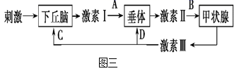 图片_x0020_100008