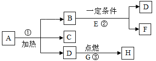 图片_x0020_100024