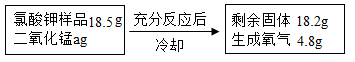 图片_x0020_577508913