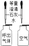 图片_x0020_151938526