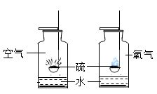 图片_x0020_767029607