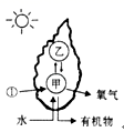 图片_x0020_100056
