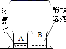 图片_x0020_1353748555