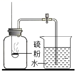 图片_x0020_244879265