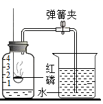 图片_x0020_100015