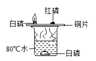 图片_x0020_1692552218