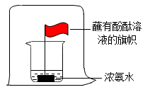 图片_x0020_1021248851