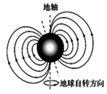 图片_x0020_100010