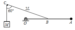 图片_x0020_100015