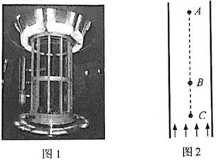 图片_x0020_100009