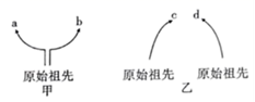 图片_x0020_100003