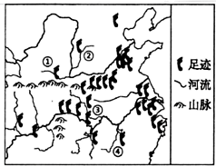 图片_x0020_100003