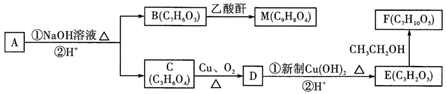 图片_x0020_100043
