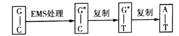 图片_x0020_100003