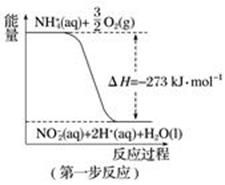 图片_x0020_293974748