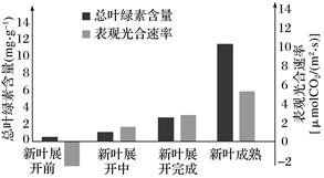 图片_x0020_100034