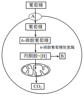 图片_x0020_100013