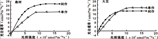 图片_x0020_100001