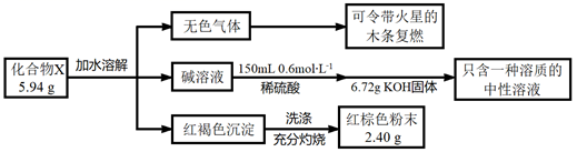 图片_x0020_100024