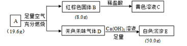 图片_x0020_100030