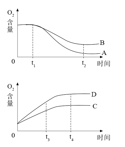 图片_x0020_100004