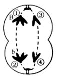 图片_x0020_100001