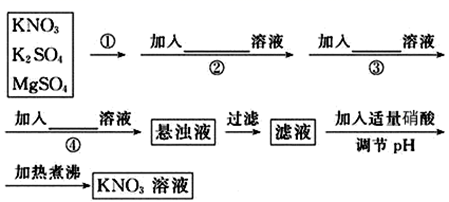 图片_x0020_100014