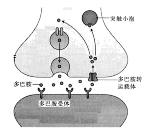 图片_x0020_100001