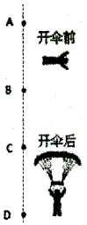 图片_x0020_100008