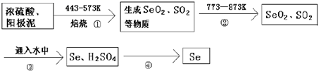 图片_x0020_100017