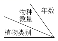 图片_x0020_1154596386
