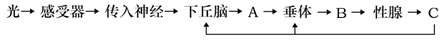 图片_x0020_100020