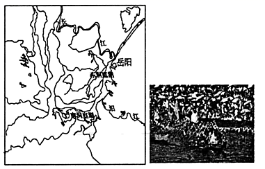 图片_x0020_100005