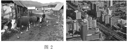 图片_x0020_100020