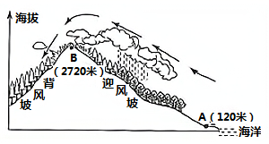 图片_x0020_1032806830