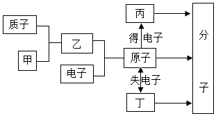 图片_x0020_100032