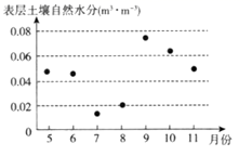 图片_x0020_100012