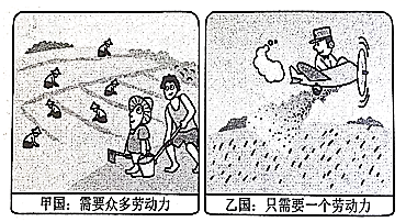 图片_x0020_1755578442