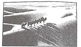 图片_x0020_271196421