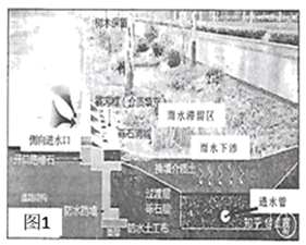图片_x0020_100017