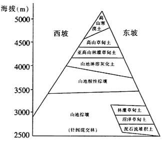图片_x0020_1486530905