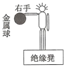 图片_x0020_100009
