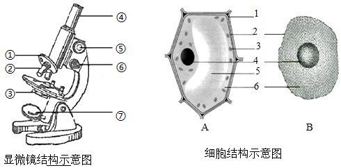 图片_x0020_100004