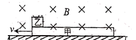 图片_x0020_100016