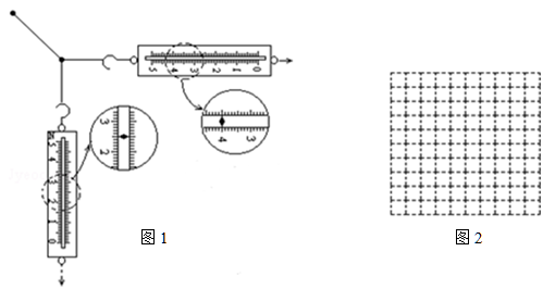 图片_x0020_100006