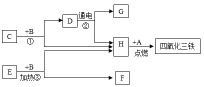 图片_x0020_100012
